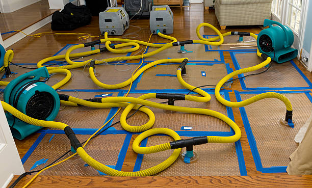 Professional Sewage Cleanup technician working in Wilberforce, OH
